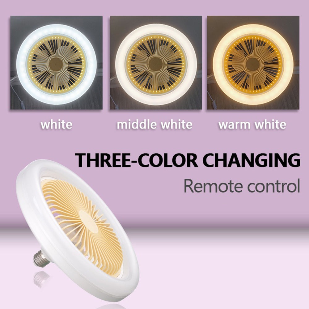 2 in 1 Ceiling Fan with Light