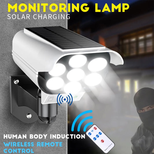 Solar Motion Sensor Light