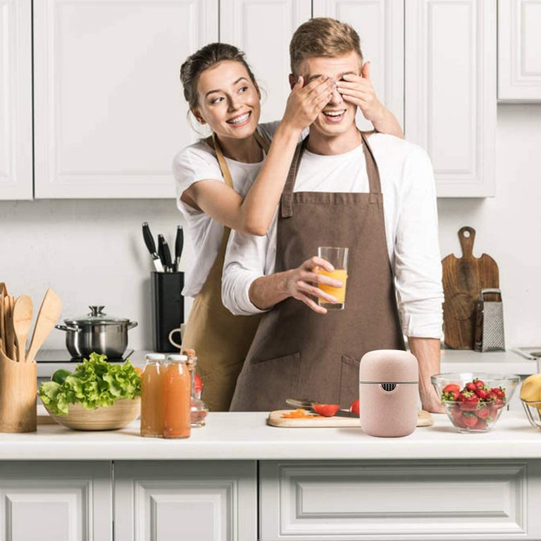 Mini Manual Fruit Juicer