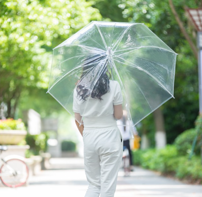Transparent Umbrella