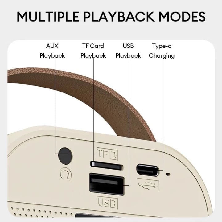K12 WIRELESS KARAOKE SPEAKER WITH MIC