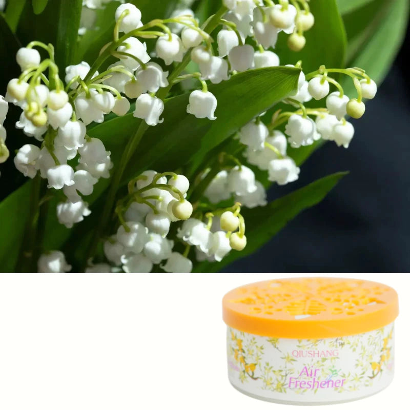 BUY 1 TAKE 4 | SOLID AIR FRESHENER