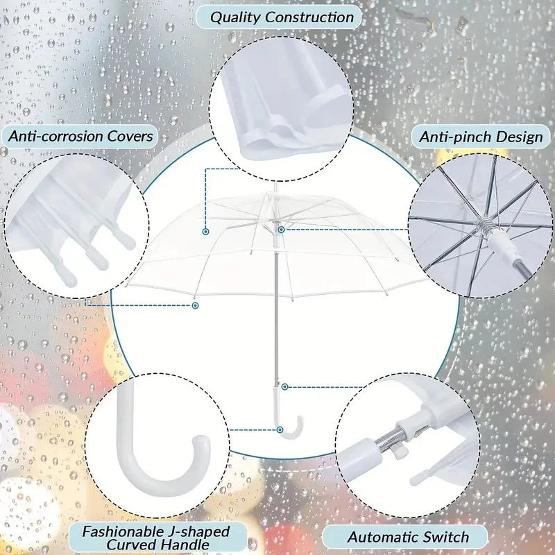 Transparent Umbrella