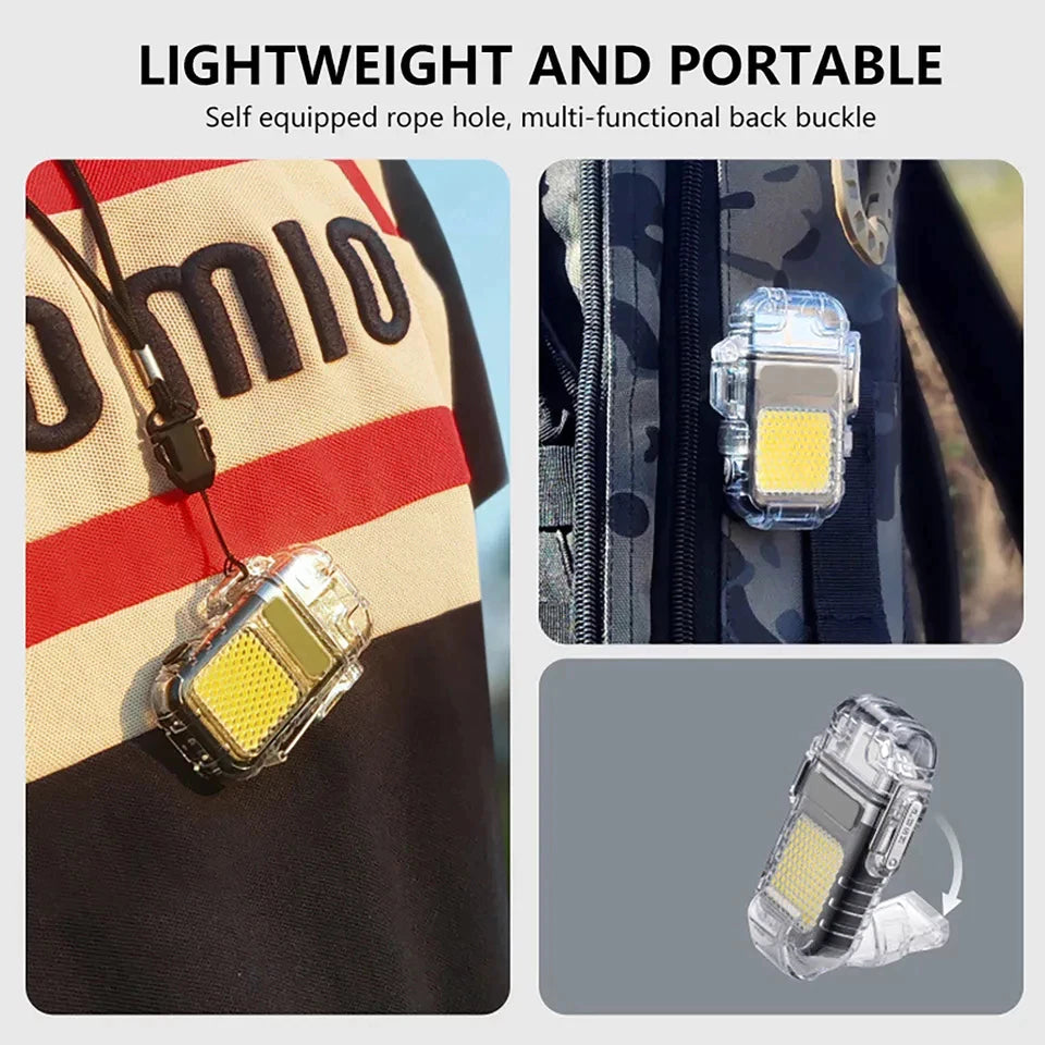 Rechargeable Arc Lighter Flashlight