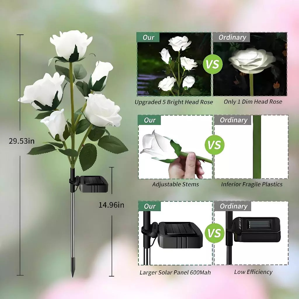 Solar Rose Garden Light