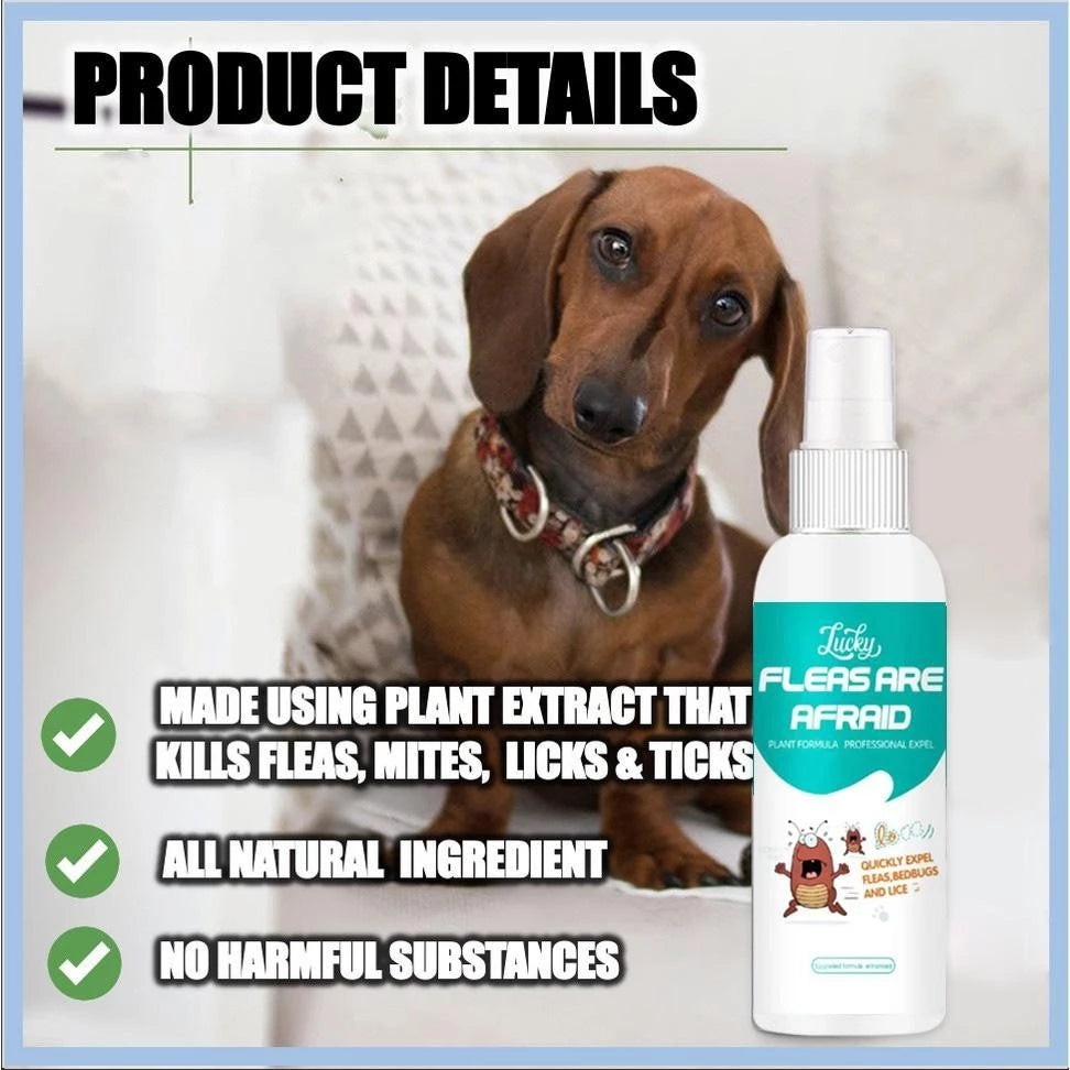 Flea and Tick Killer Spray