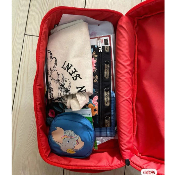 TRAVEL SHOE BAG