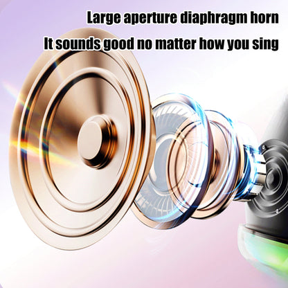 Wireless Bluetooth Microphone And Speaker Combo