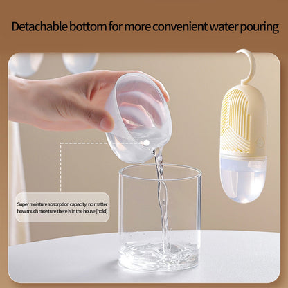 Hanging Dehumidifier