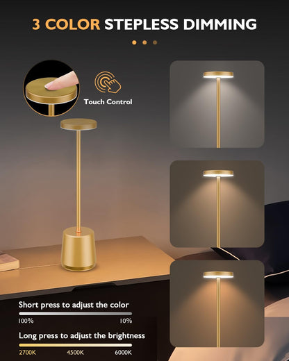 LED Metal Table Lamp