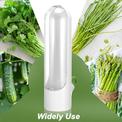 Fresh Herb Keeper
