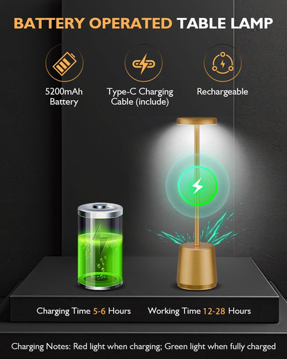 LED Metal Table Lamp