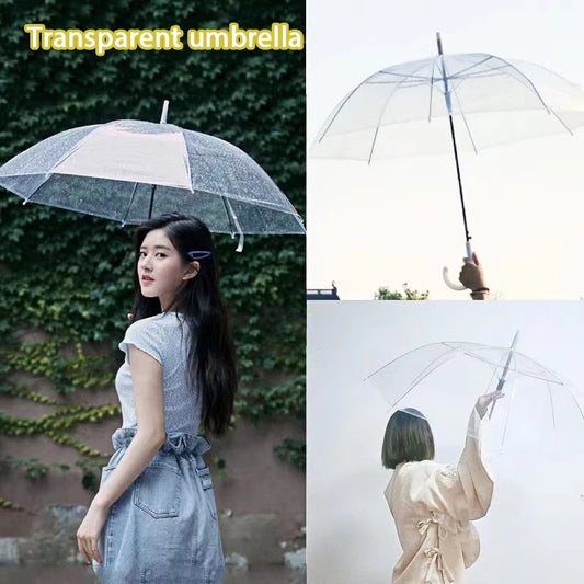 Transparent Umbrella