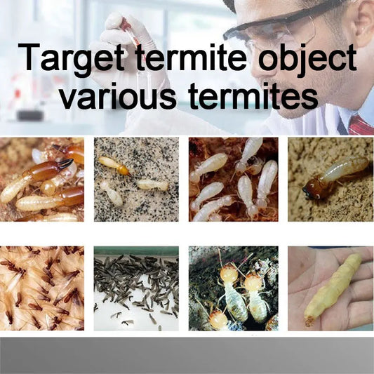 BUY 1 TAKE 1 | Termite Powder Killer 75g