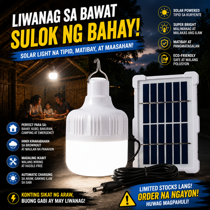 Solar Emergency Bulb w/ Panel
