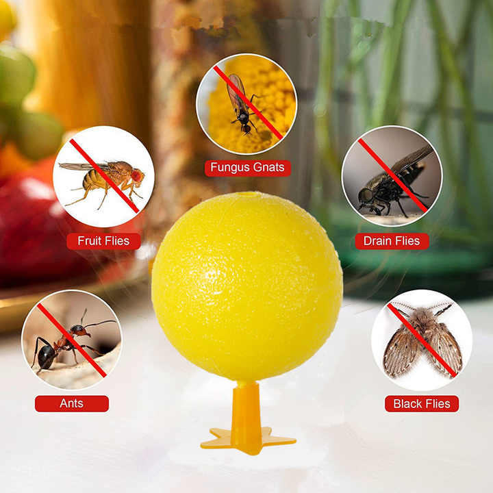 Sticky Fly Trap Ball