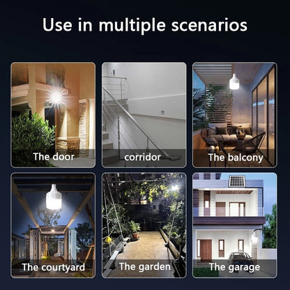 Solar Emergency Bulb w/ Panel