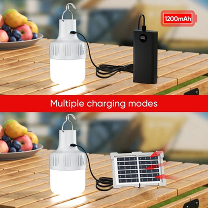 Solar Emergency Bulb w/ Panel