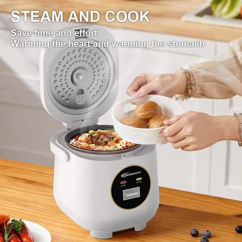2L Mini Rice Cooker with Steamer