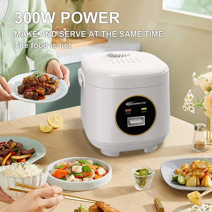 2L Mini Rice Cooker with Steamer
