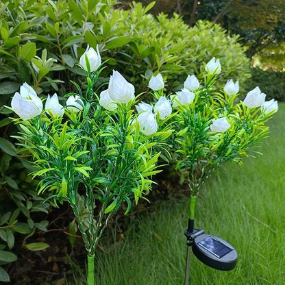 Solar Powered Gardenia Flower Lights