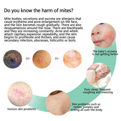 BUY 1 GET 1 | Bed Bug & Mite Killer Spray 300ml