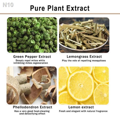 BUY 1 GET 1 | Bed Bug & Mite Killer Spray 300ml