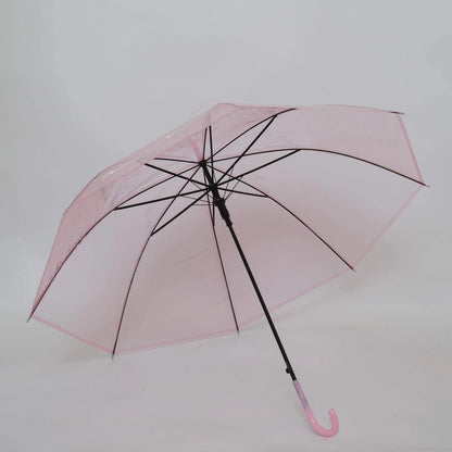 Transparent Umbrella