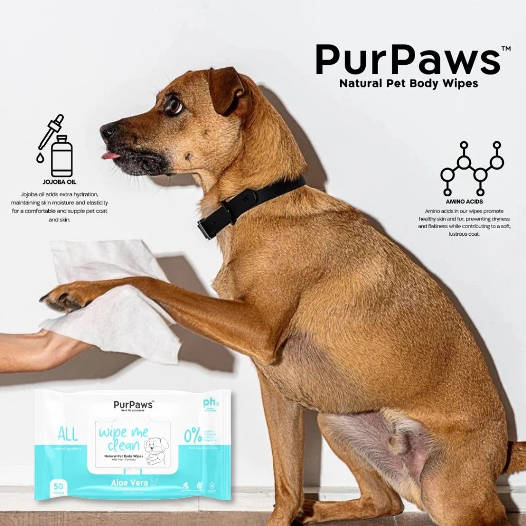PurPaws Hypoallergenic Pet Wipes