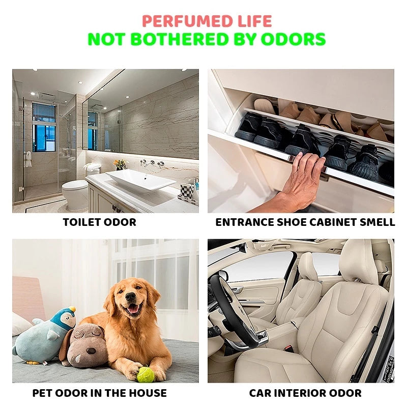 BUY 1 TAKE 4 | SOLID AIR FRESHENER