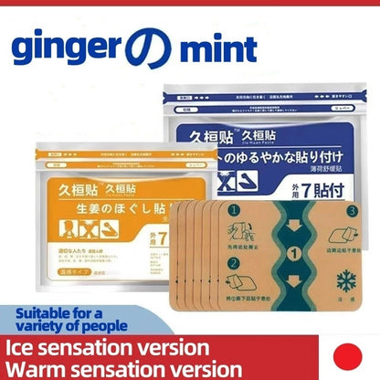 Salonpas Pain Relief Cooling and Hot Patches by Hisamitsu Japan (7pcs/pack)