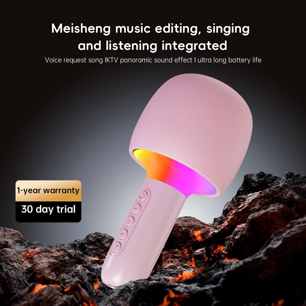 Wireless Bluetooth Microphone And Speaker Combo