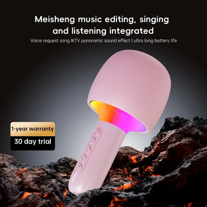 Wireless Bluetooth Microphone And Speaker Combo