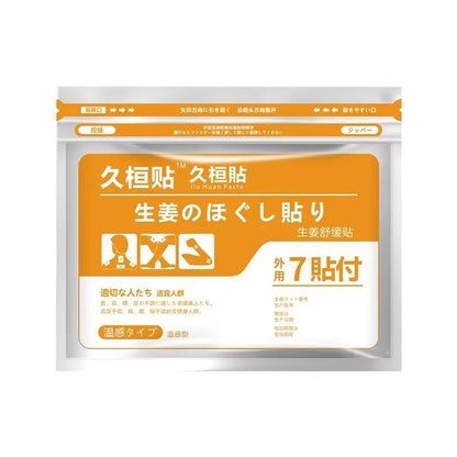 Salonpas Pain Relief Cooling and Hot Patches by Hisamitsu Japan (7pcs/pack)