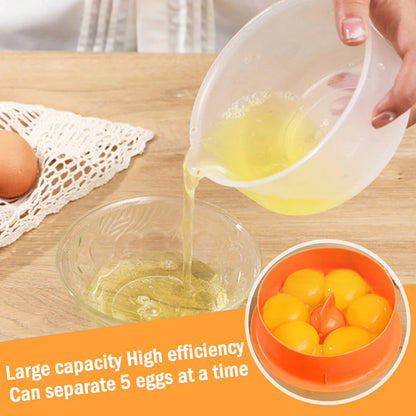 Egg White And Egg Yolk Separator
