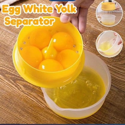 Egg White And Egg Yolk Separator