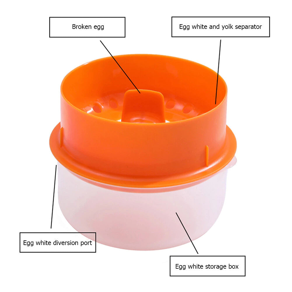 Egg White And Egg Yolk Separator