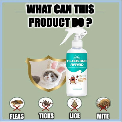 Flea and Tick Killer Spray