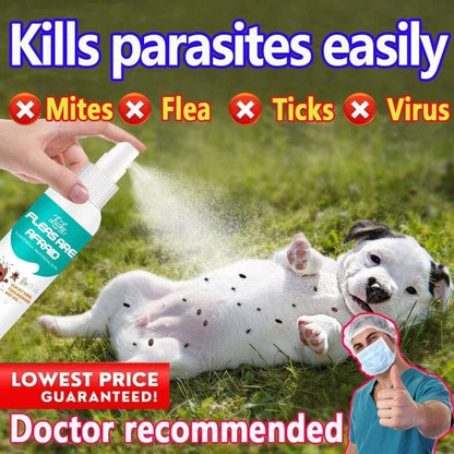 Flea and Tick Killer Spray
