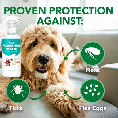 Flea and Tick Killer Spray
