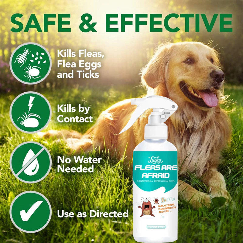 Flea and Tick Killer Spray