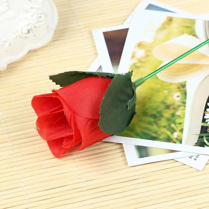 Magic Torch to Rose