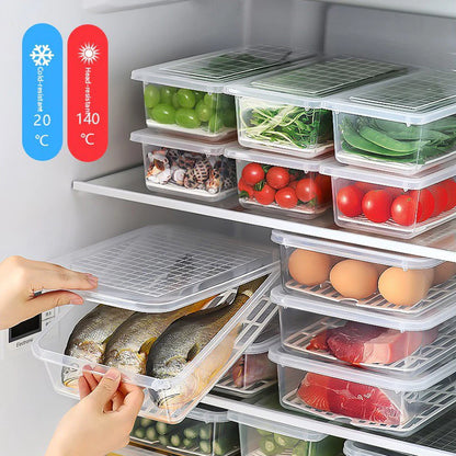 BUY 1 TAKE 3 | Rectangular Food Container with Drain Plate