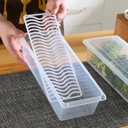 BUY 1 TAKE 3 | Rectangular Food Container with Drain Plate